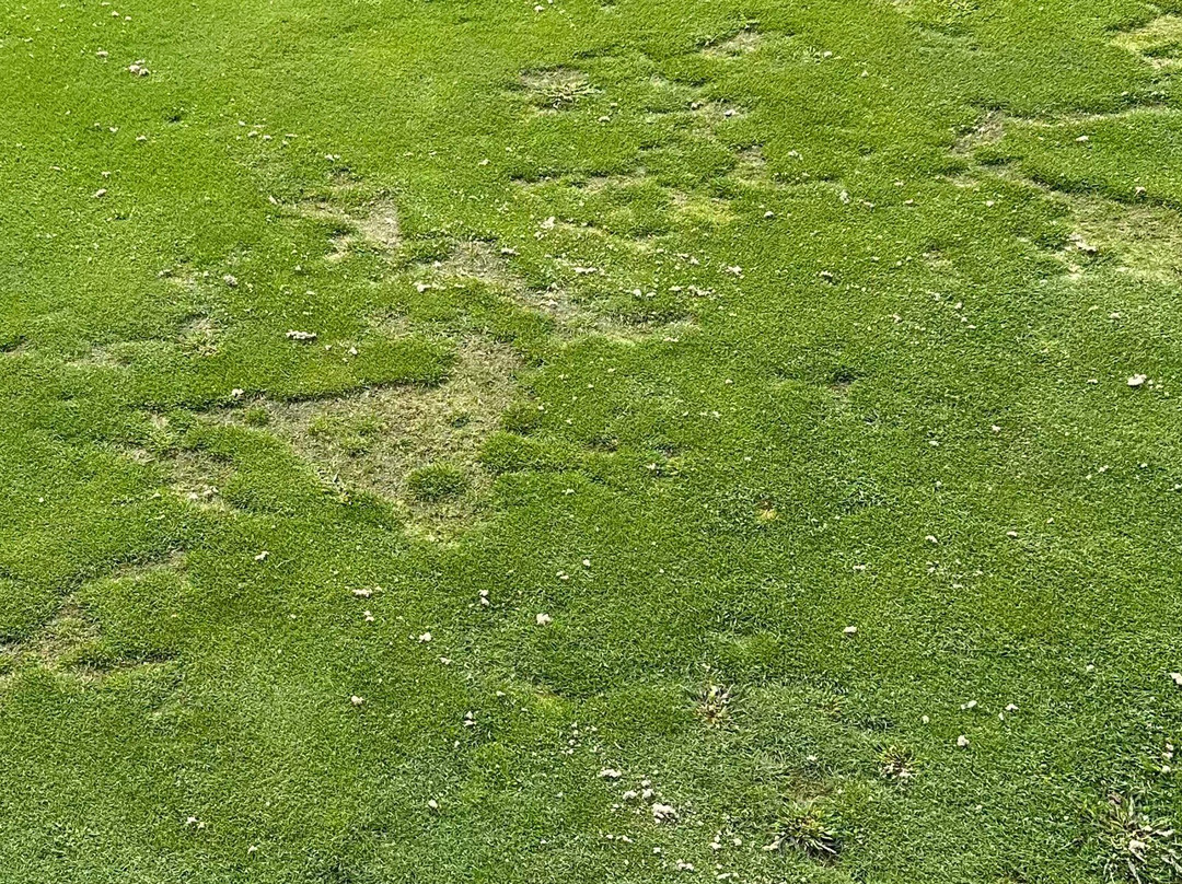 Chatuge Shores Golf Course-Hayesville必去景点