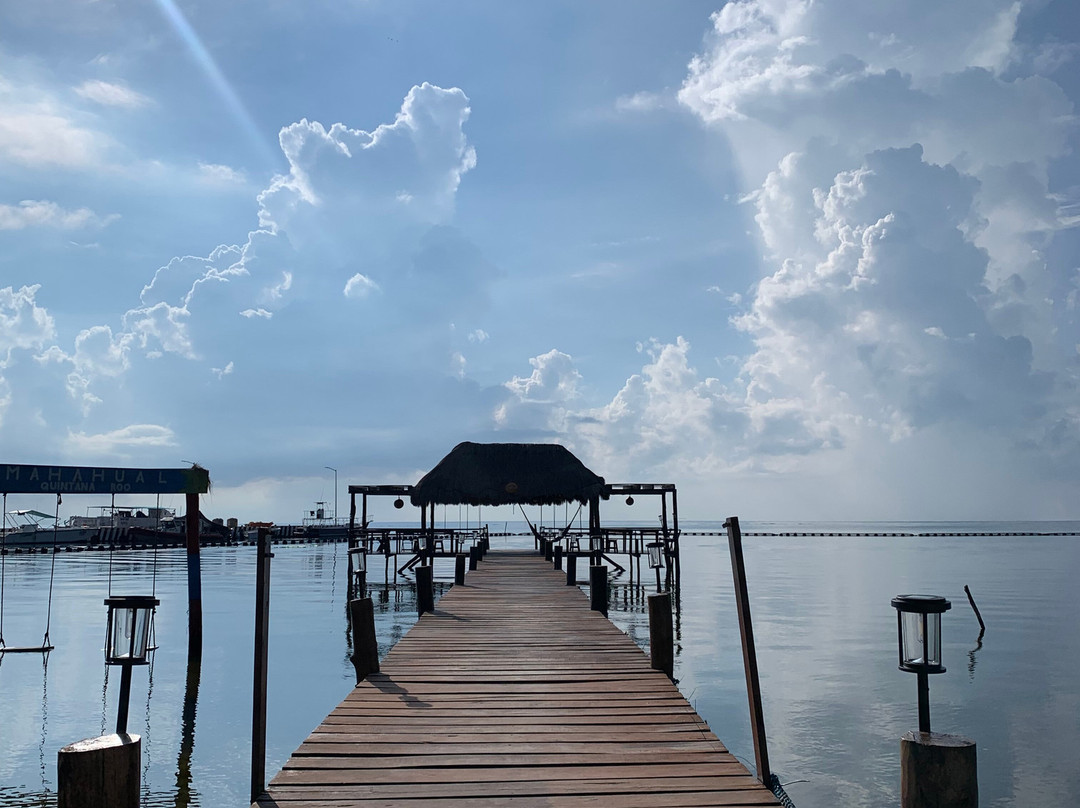 Adventure Tours Yucatan-梅里达必去景点