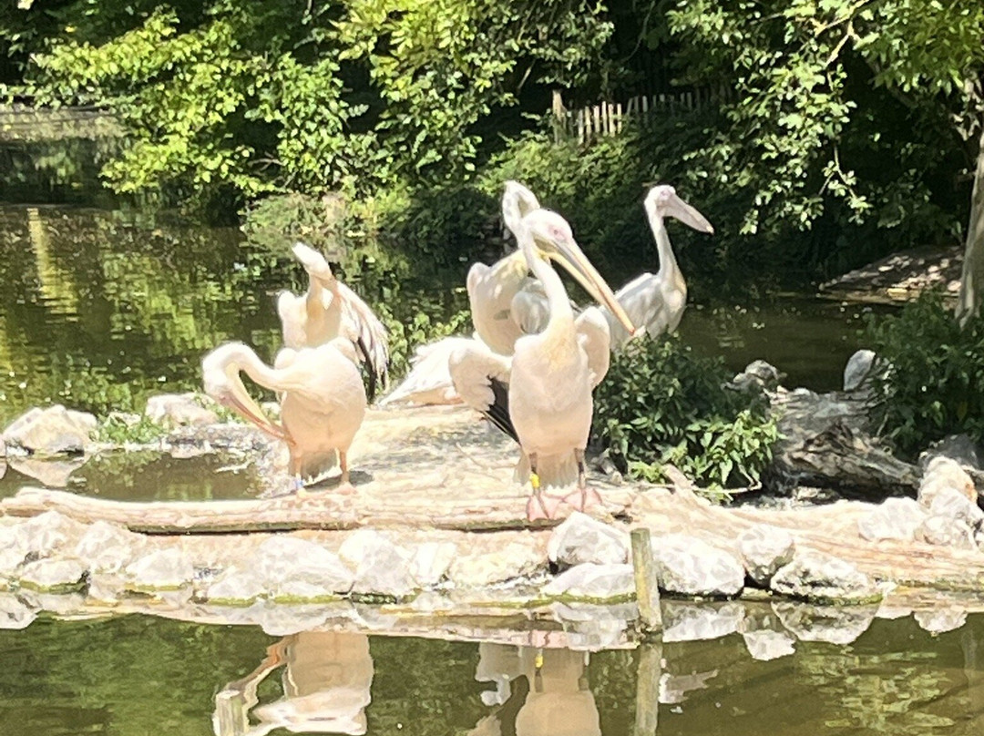 Zoo de Lille-里尔必去景点