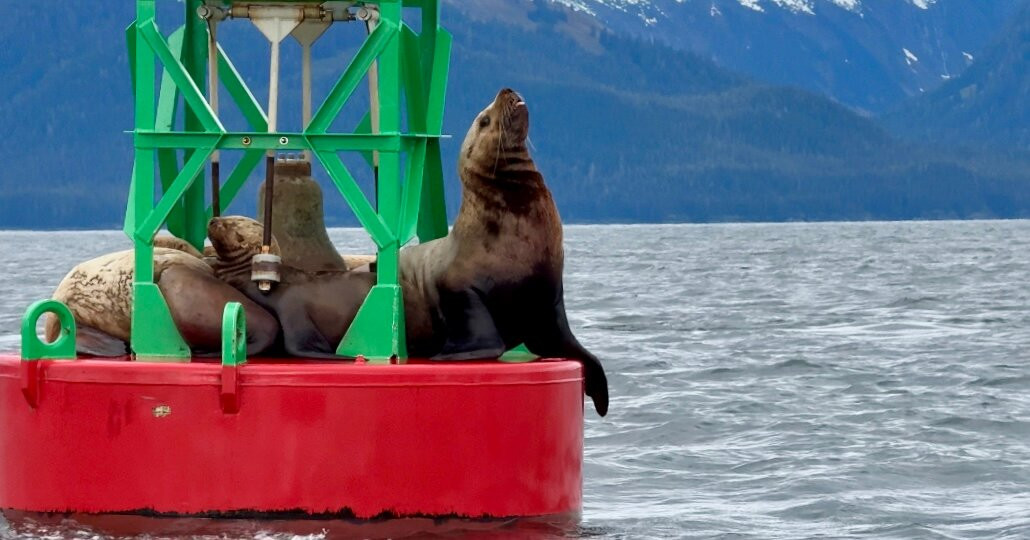 Jayleen's Alaska-朱诺必去景点