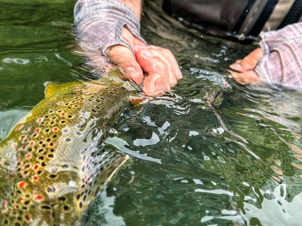 Fly Fishing Alpe Adria-Domzale必去景点