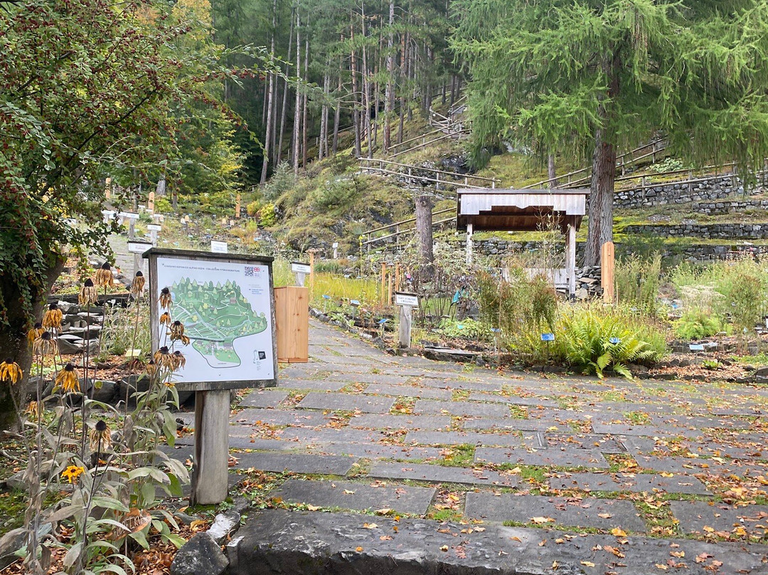 Giardino Botanico Alpino "Rezia"-博尔米奥必去景点