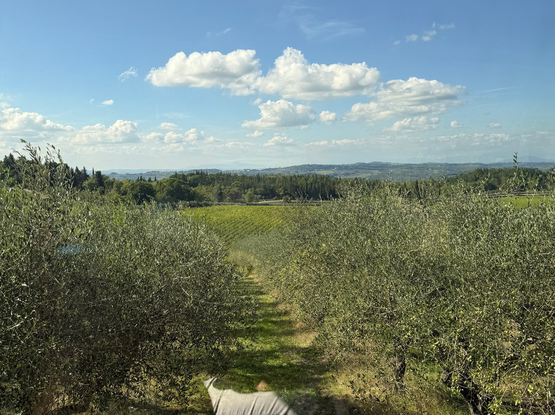 Casa Emma-San Donato in Poggio必去景点