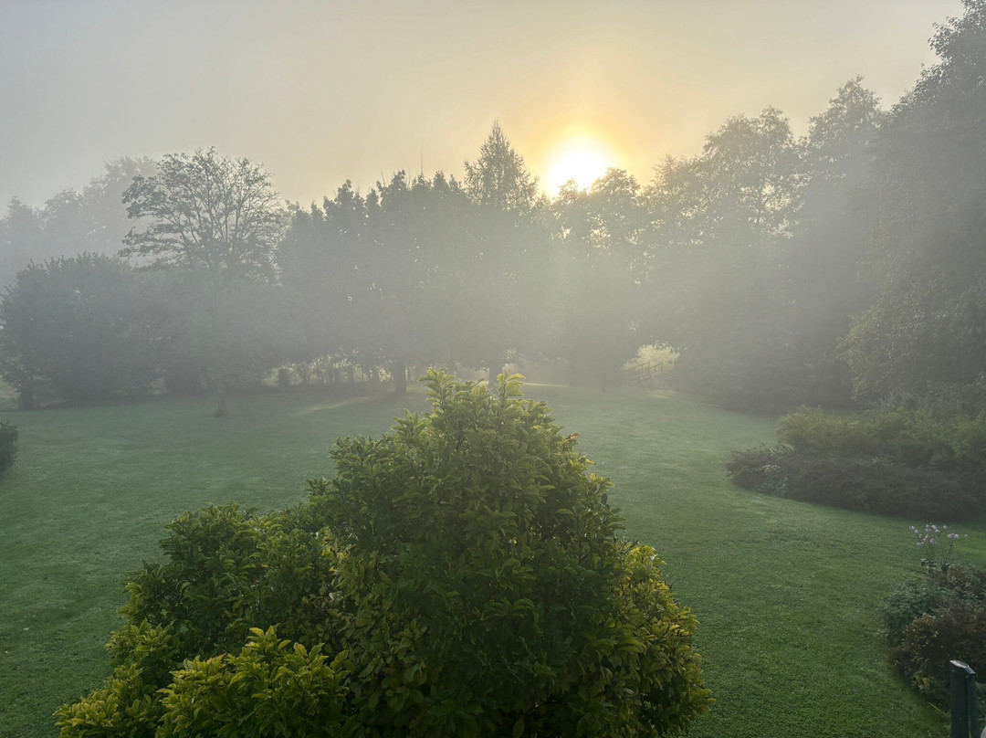 Le Four au Bois主图