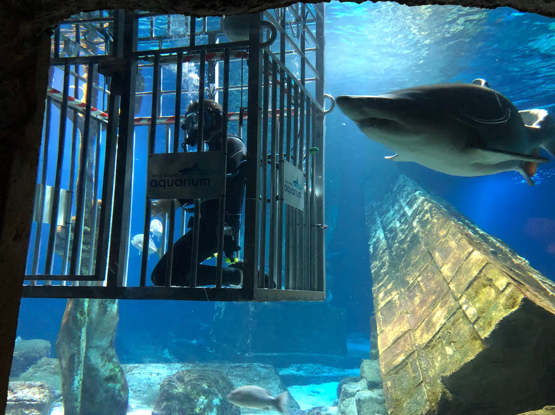 Long Island Aquarium-Riverhead必去景点