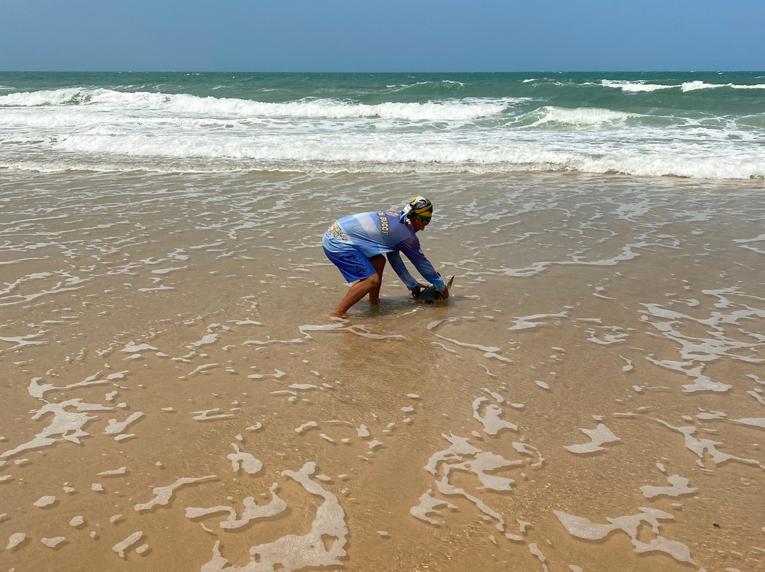 Rogerio Bugueiro-Fortim必去景点