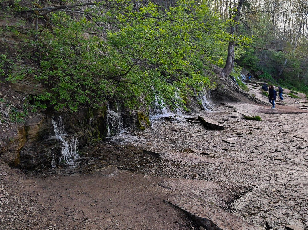 Slovenskiye Springs-Izborsk必去景点