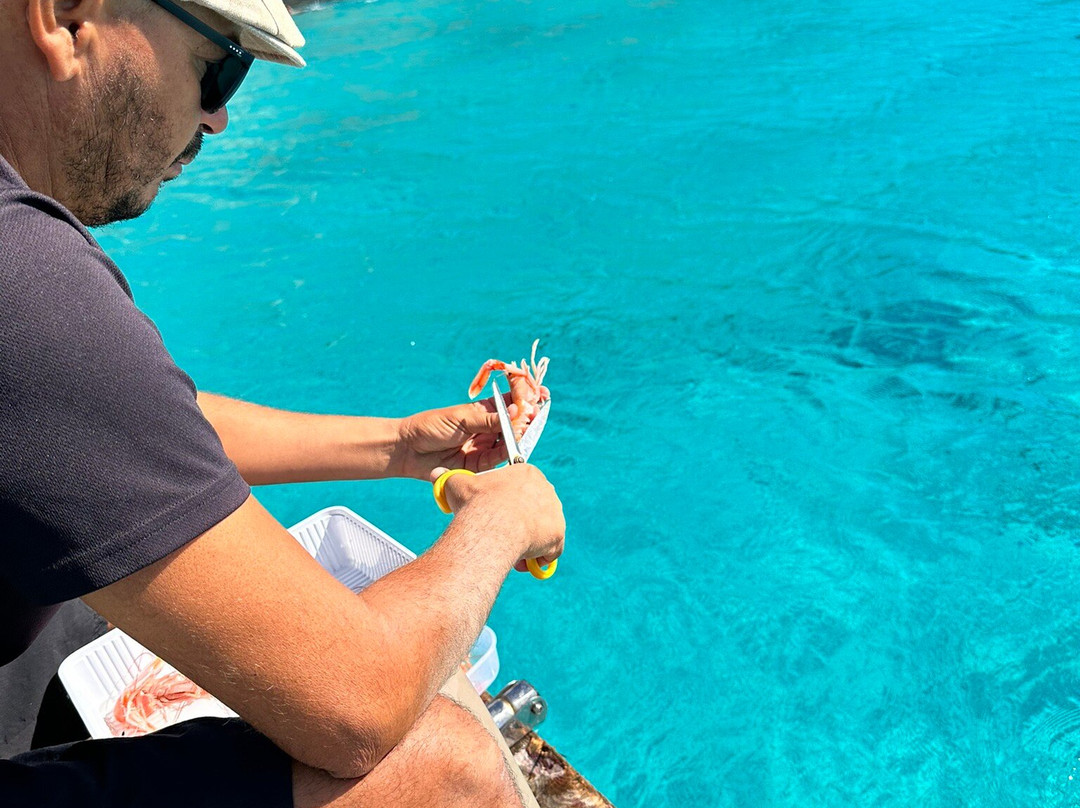 Barca Flavia-兰佩杜萨必去景点