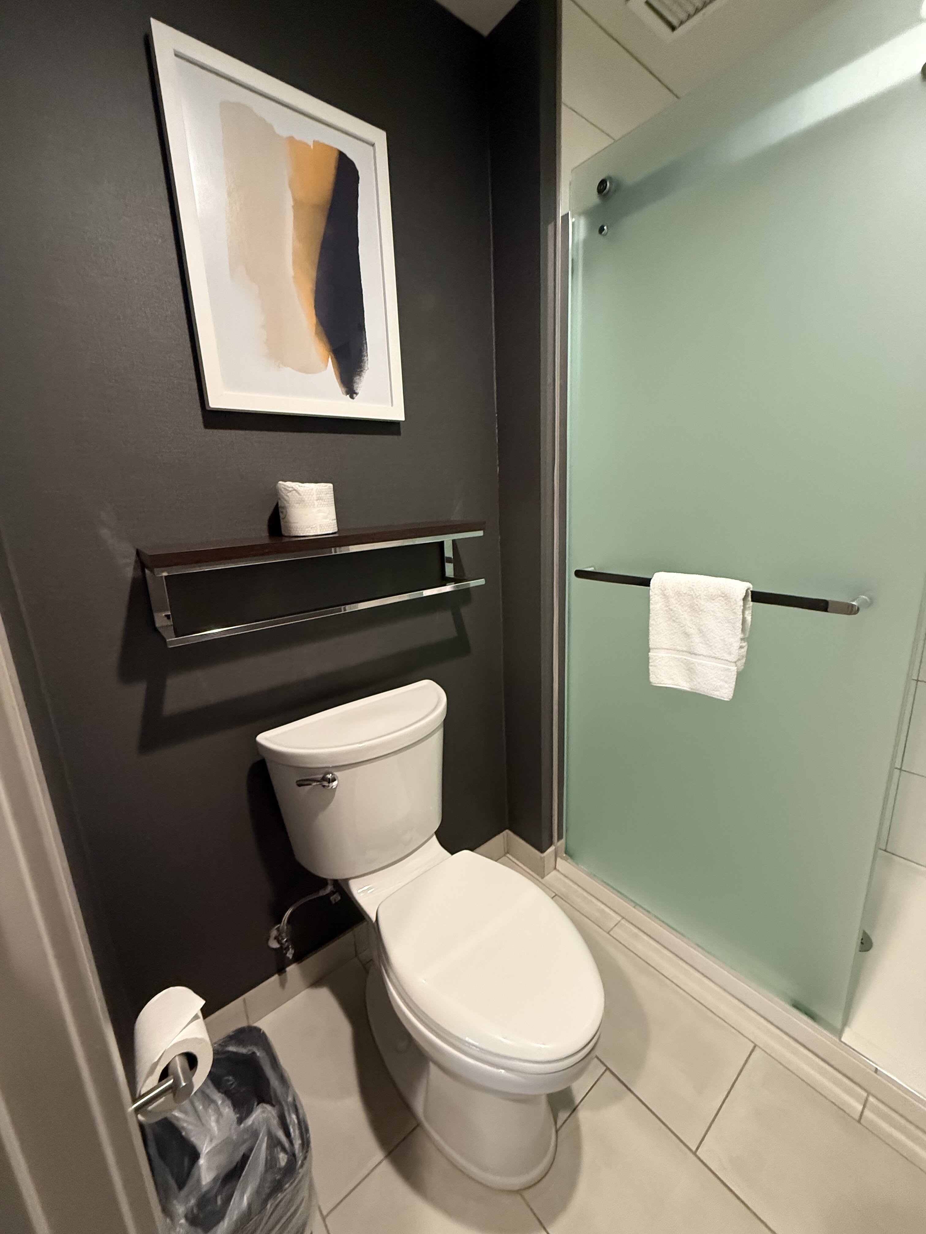 Homewood Suites by Hilton Belmont-浴室