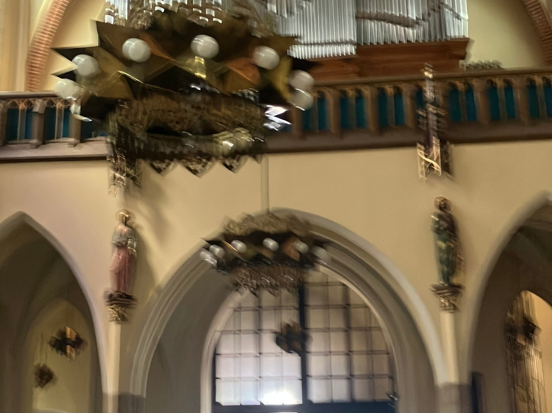 Immaculate Conception Catholic Church (Koscioł Mariacki)-卡托维兹必去景点