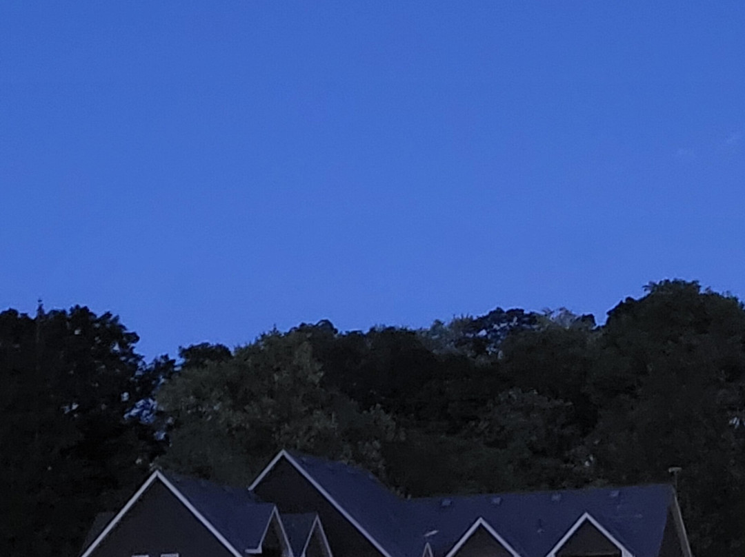 Inn on the Harbour主图