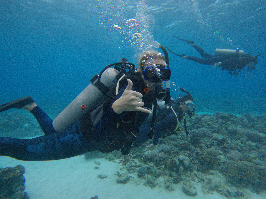 SV Summer Jo-艾尔利滩必去景点