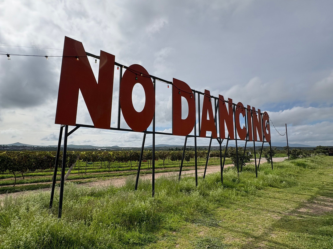 Vinedos La Redonda-Ezequiel Montes必去景点