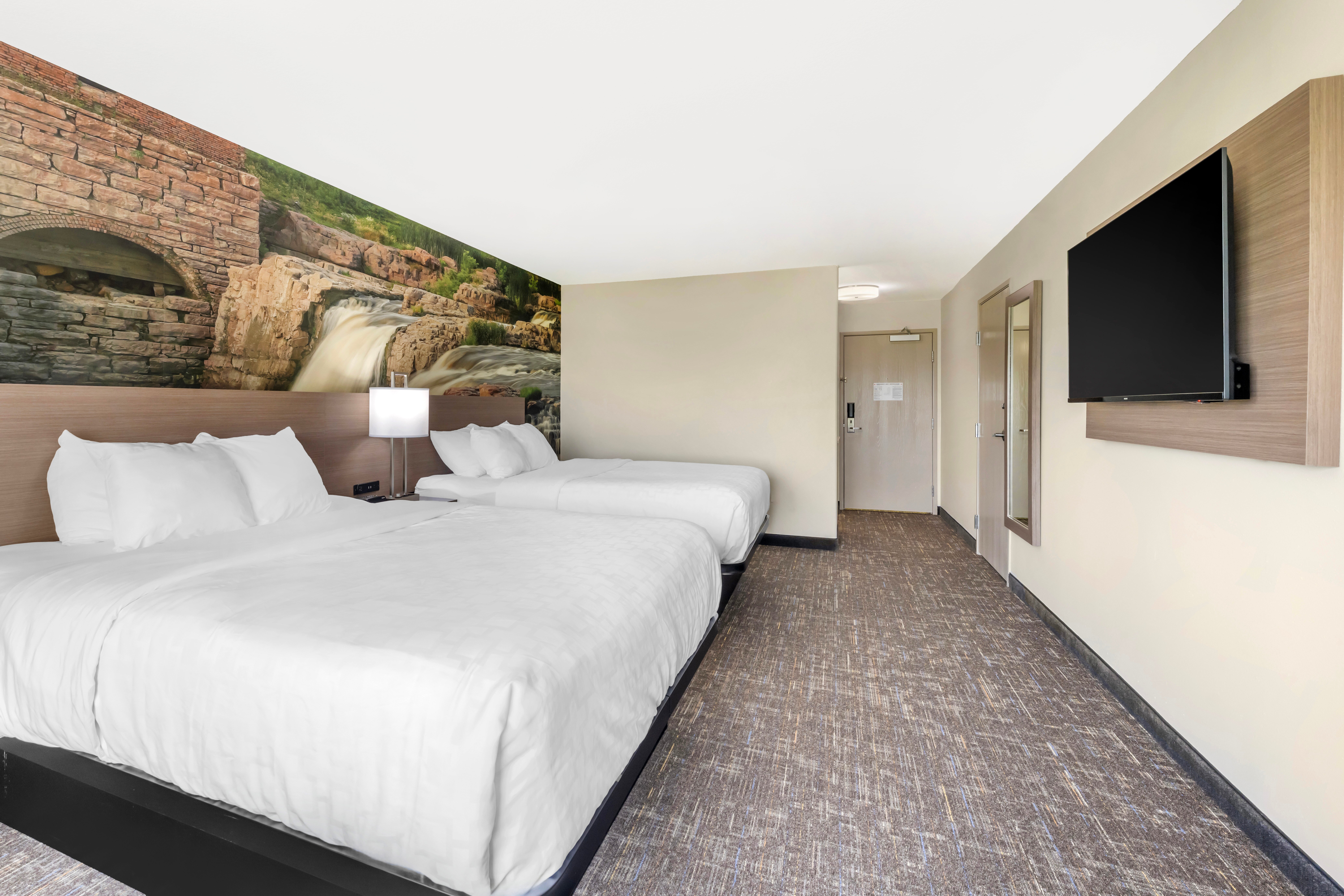 Clarion Pointe Sioux Falls Airport-客卧