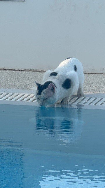 Kapparis Beach-普它肋斯必去景点