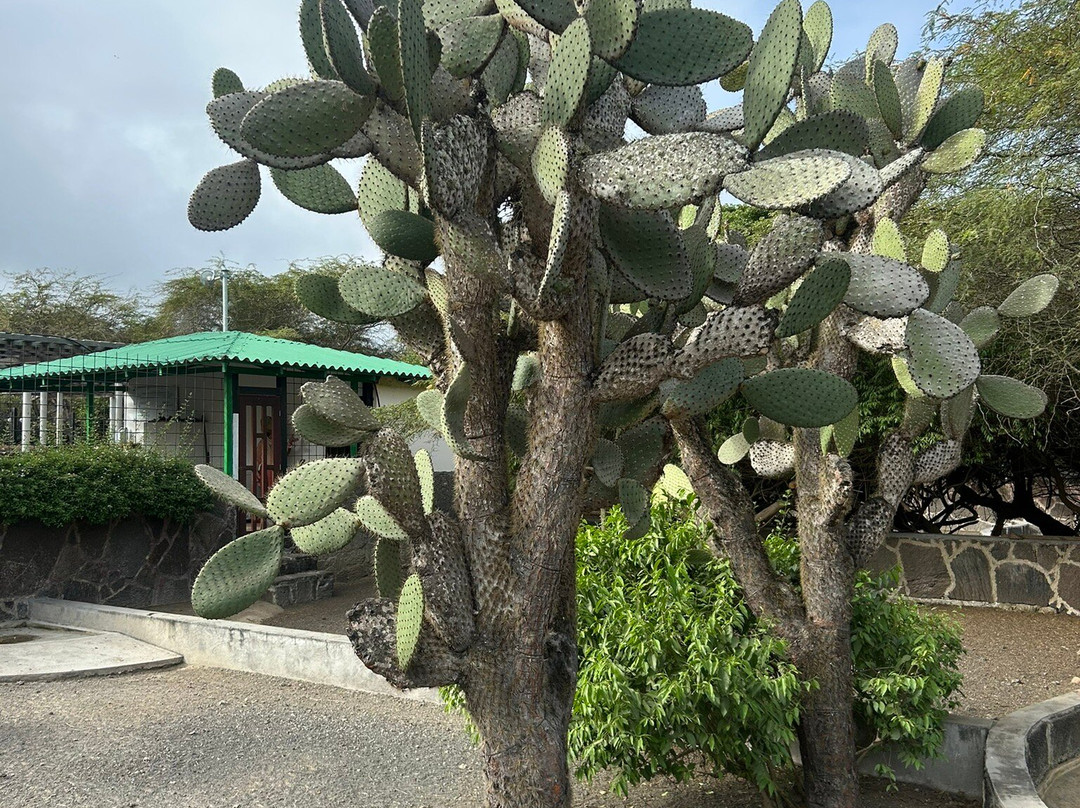 Centro de Crianza Arnaldo Tupiza-维里亚米尔港必去景点