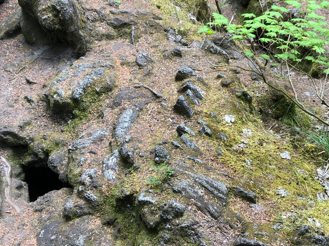 Ape Cave Lava Tubes-长景市必去景点