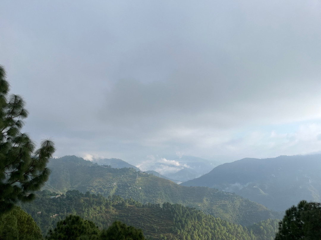 The Woods Retreat主图