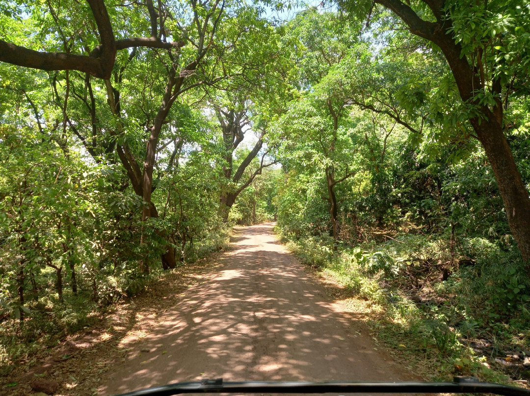 Lake Manyara-Lake Manyara National Park必去景点