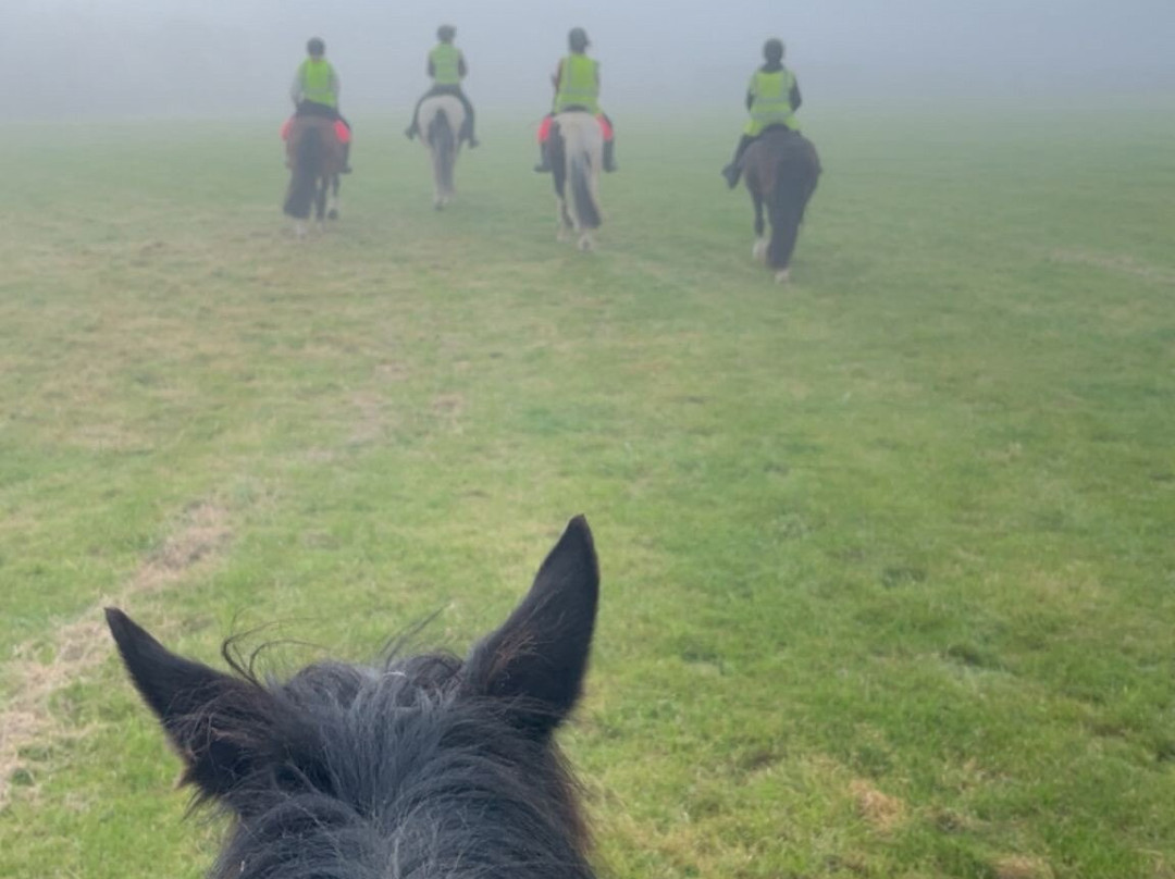 Springhill Farm Riding Stables-奥斯沃斯特必去景点