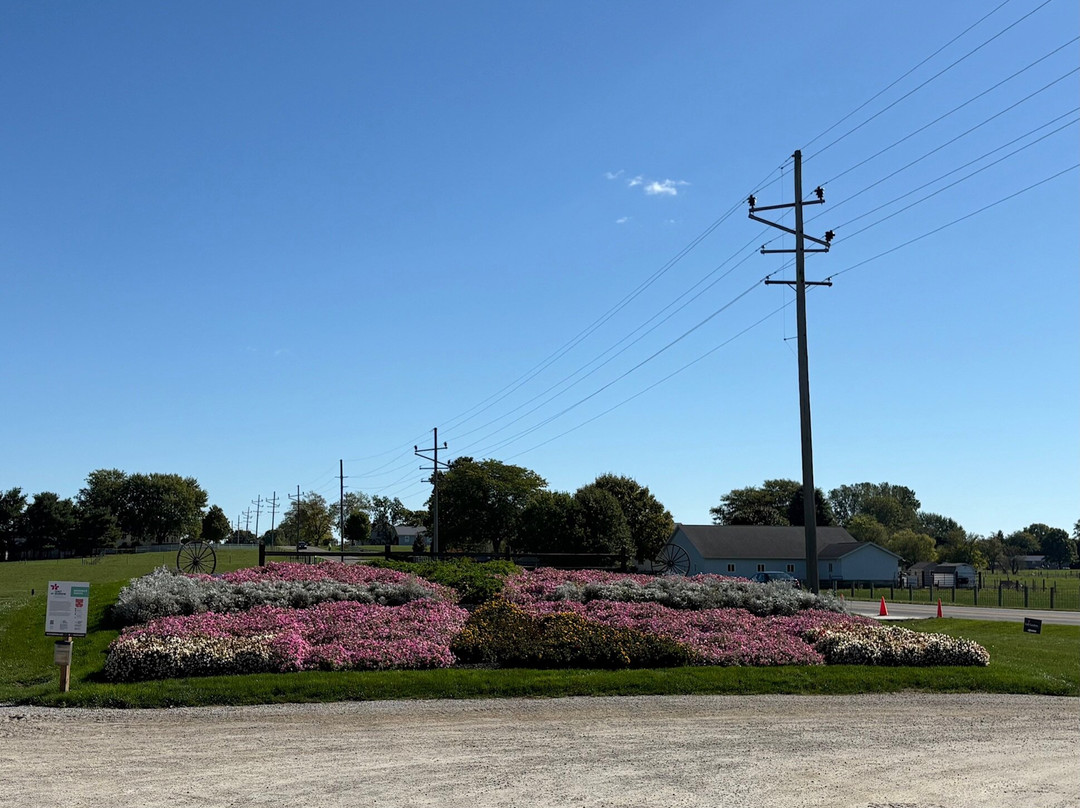 Dutch Country Market-Middlebury必去景点