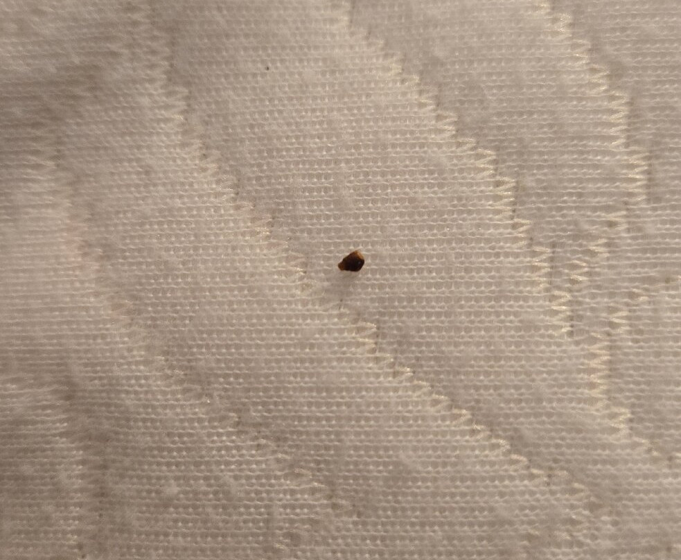 Hyatt Place Poughkeepsie/Hudson Valley主图