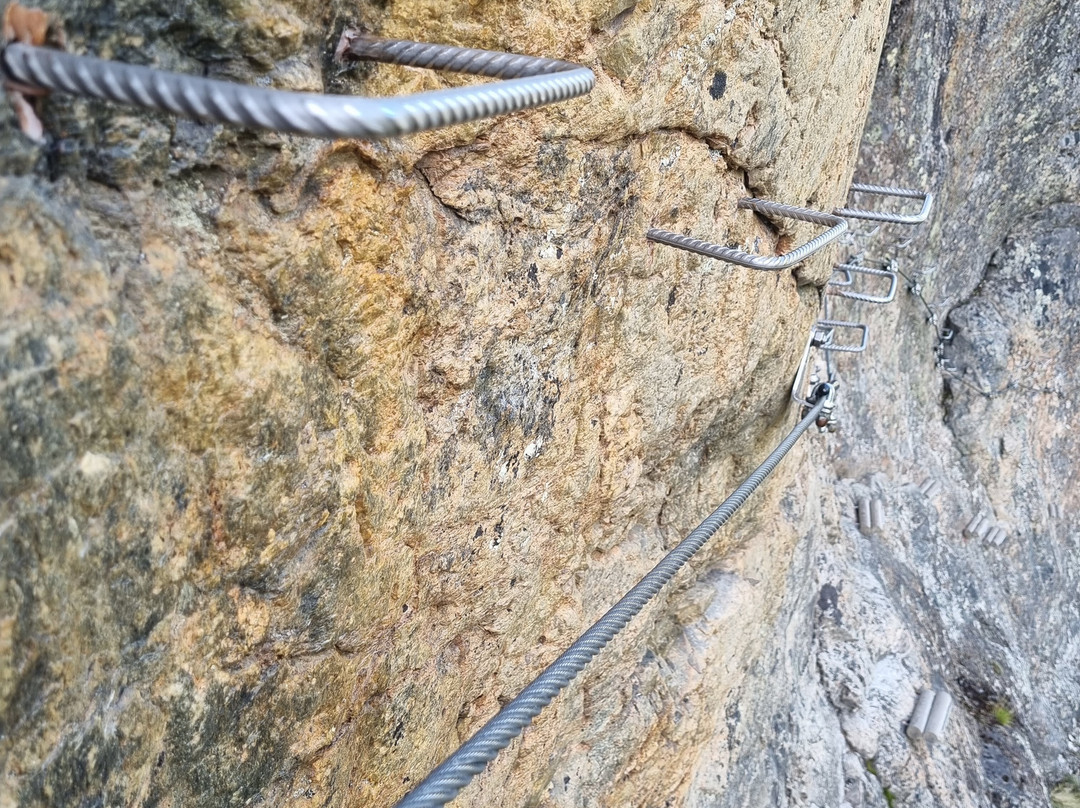 Rypetoppen Adventurepark-Meraker Municipality必去景点