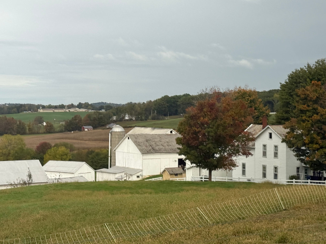 Troyer's Amish Tours-Millersburg必去景点