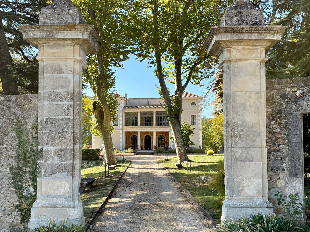 Hôtel Villa Walbaum主图