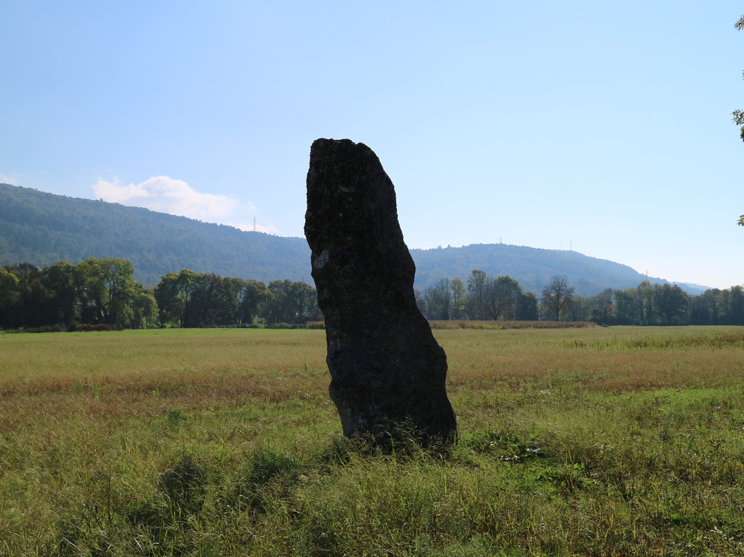 Menhir De Pierrefiche-Simandre-sur-Suran必去景点