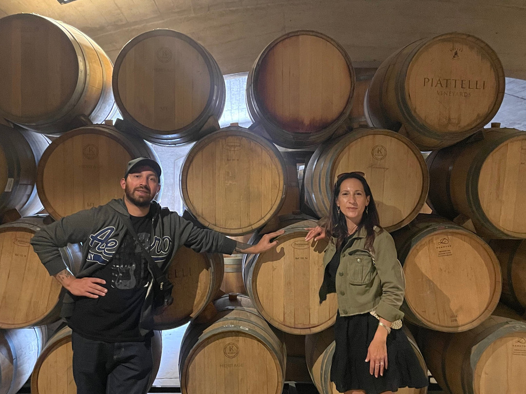 Bodega Piattelli Agrelo, Mendoza-阿格雷洛必去景点