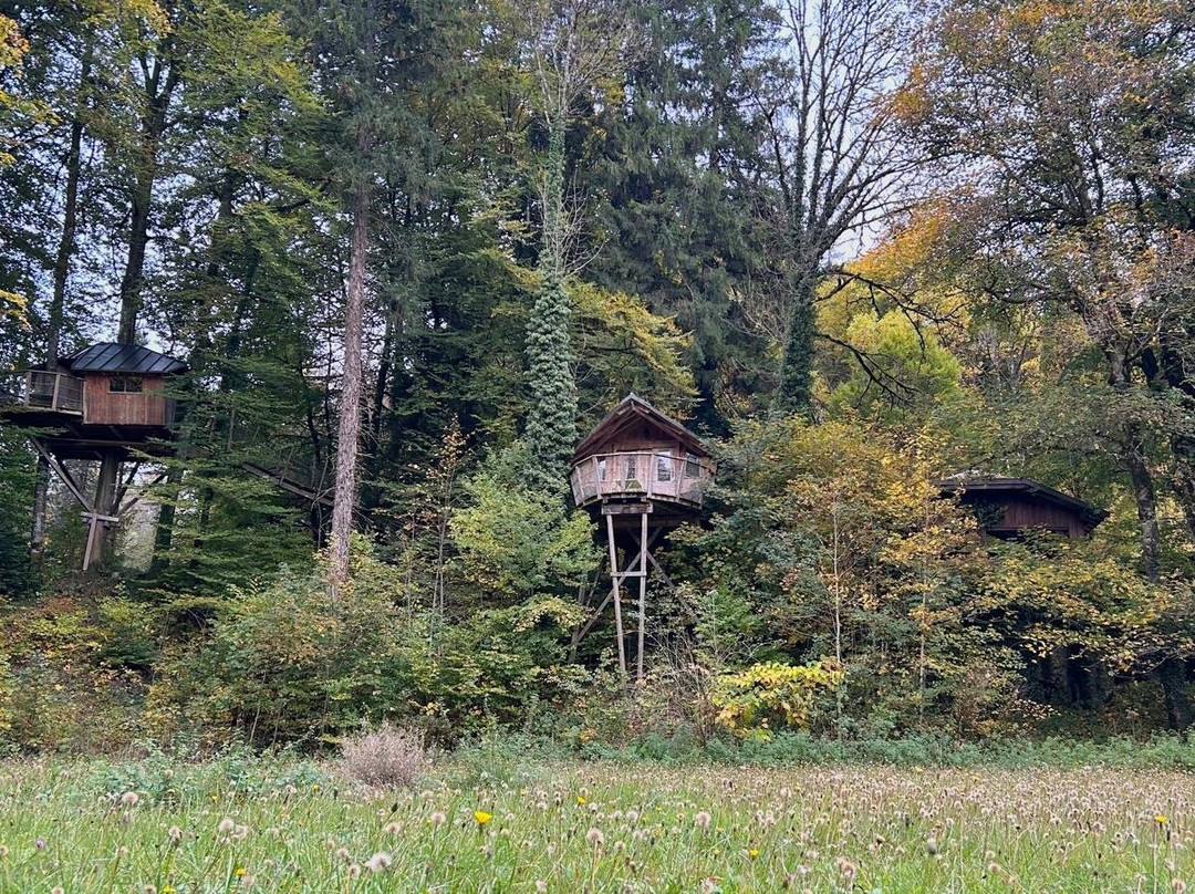 Domaine de Syam主图