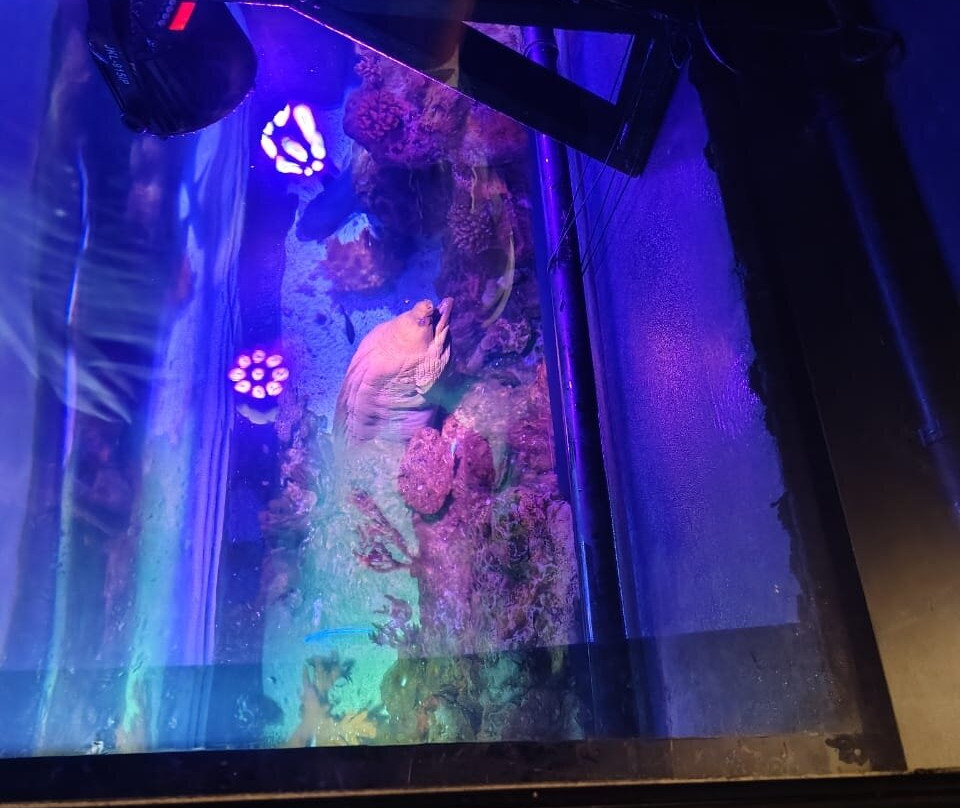 Oceanic Aquarium-康泊琉海水浴场必去景点