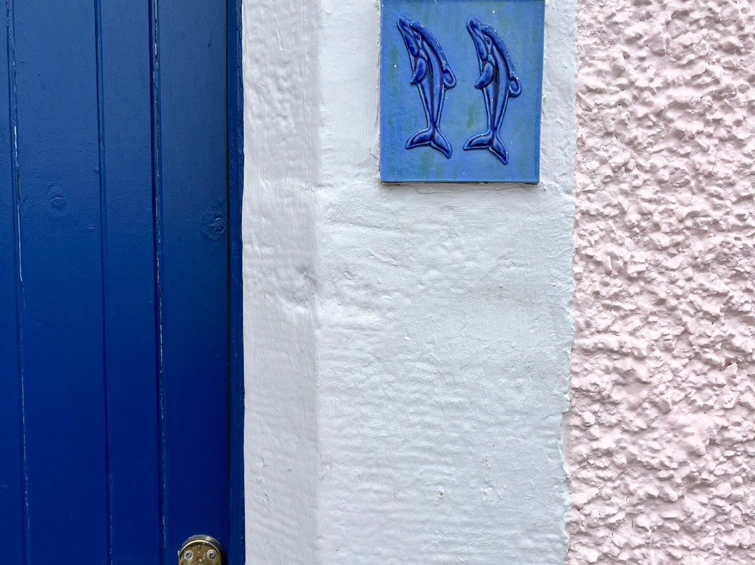 Pittenweem Harbour-Pittenweem必去景点