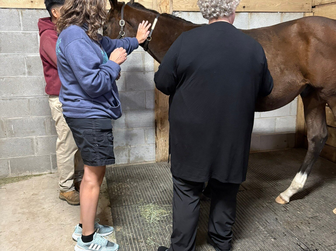 Taylor Made Farm-Nicholasville必去景点