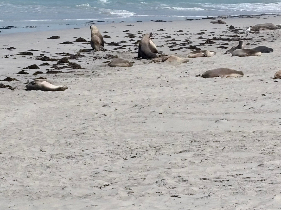 Sightseeing Tours Australia-墨尔本必去景点