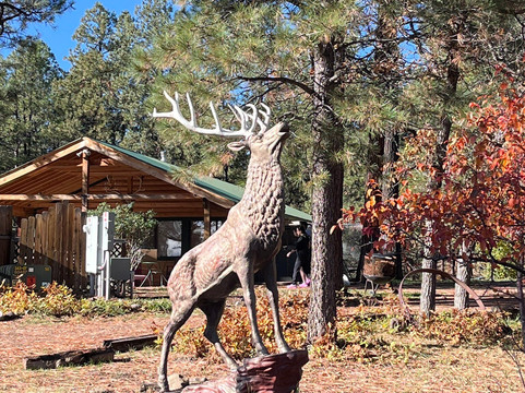 埃尔克蕾斯住宿加早餐旅馆主图