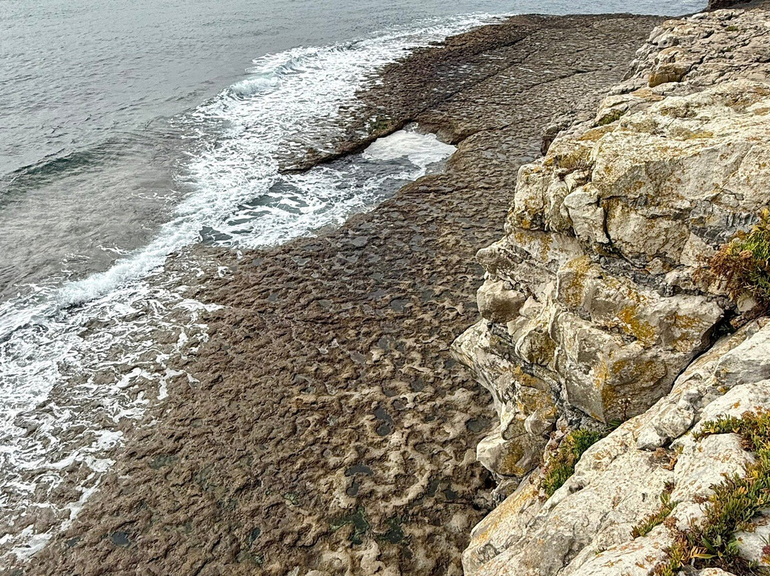 Dancing Ledge-Langton Matravers必去景点