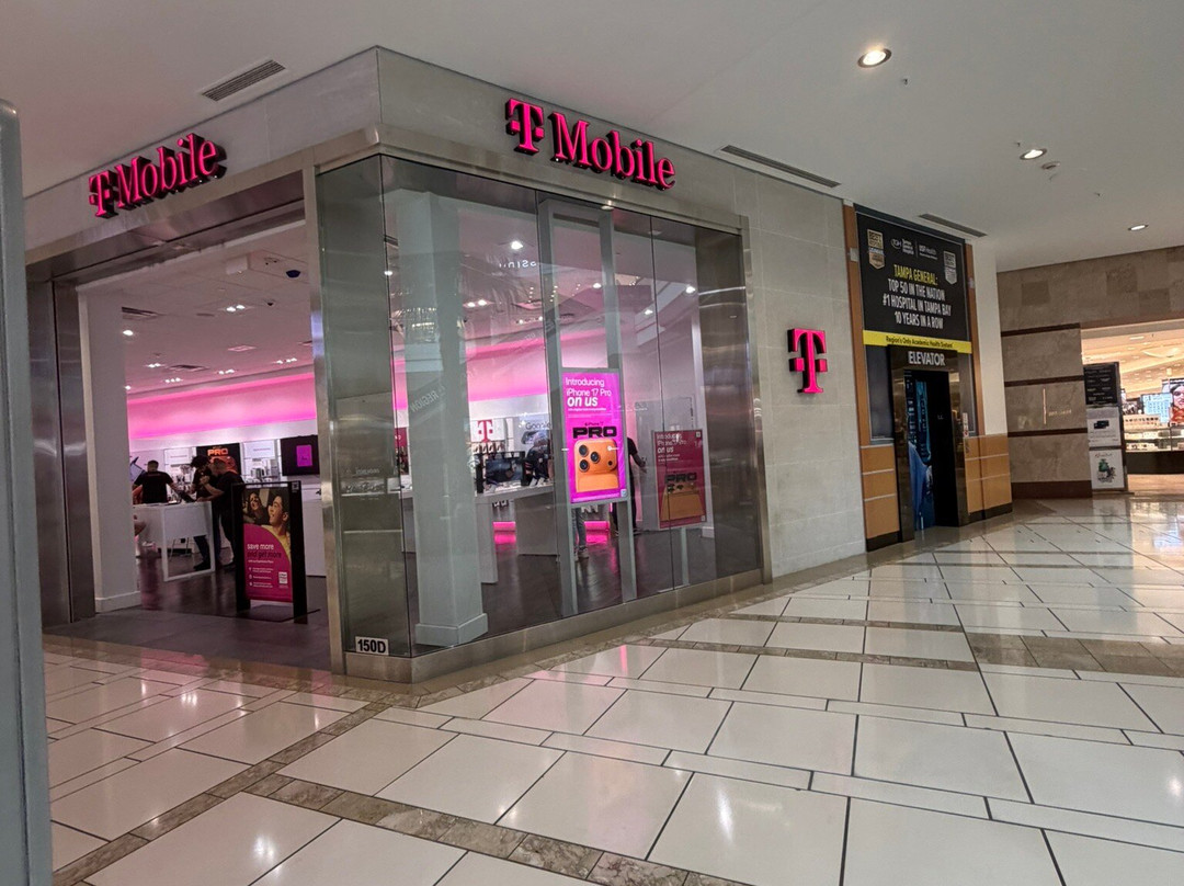 International Plaza and Bay Street-坦帕必去景点