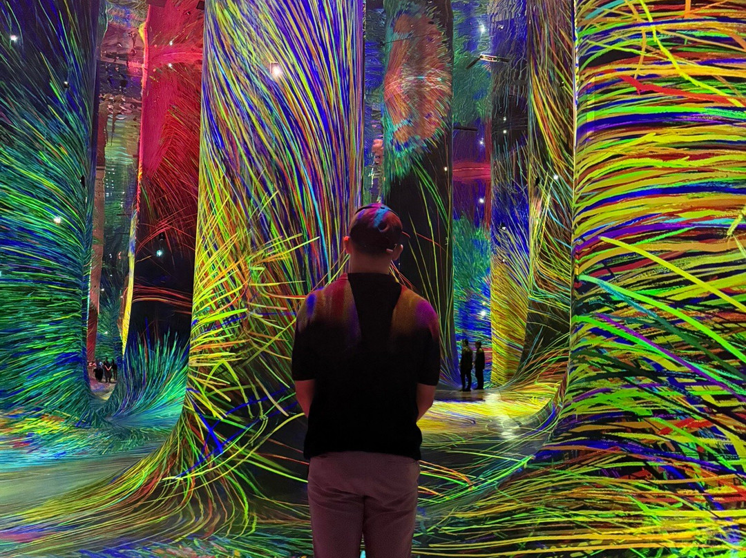 teamLab Phenomena Abu Dhabi-阿布扎比必去景点