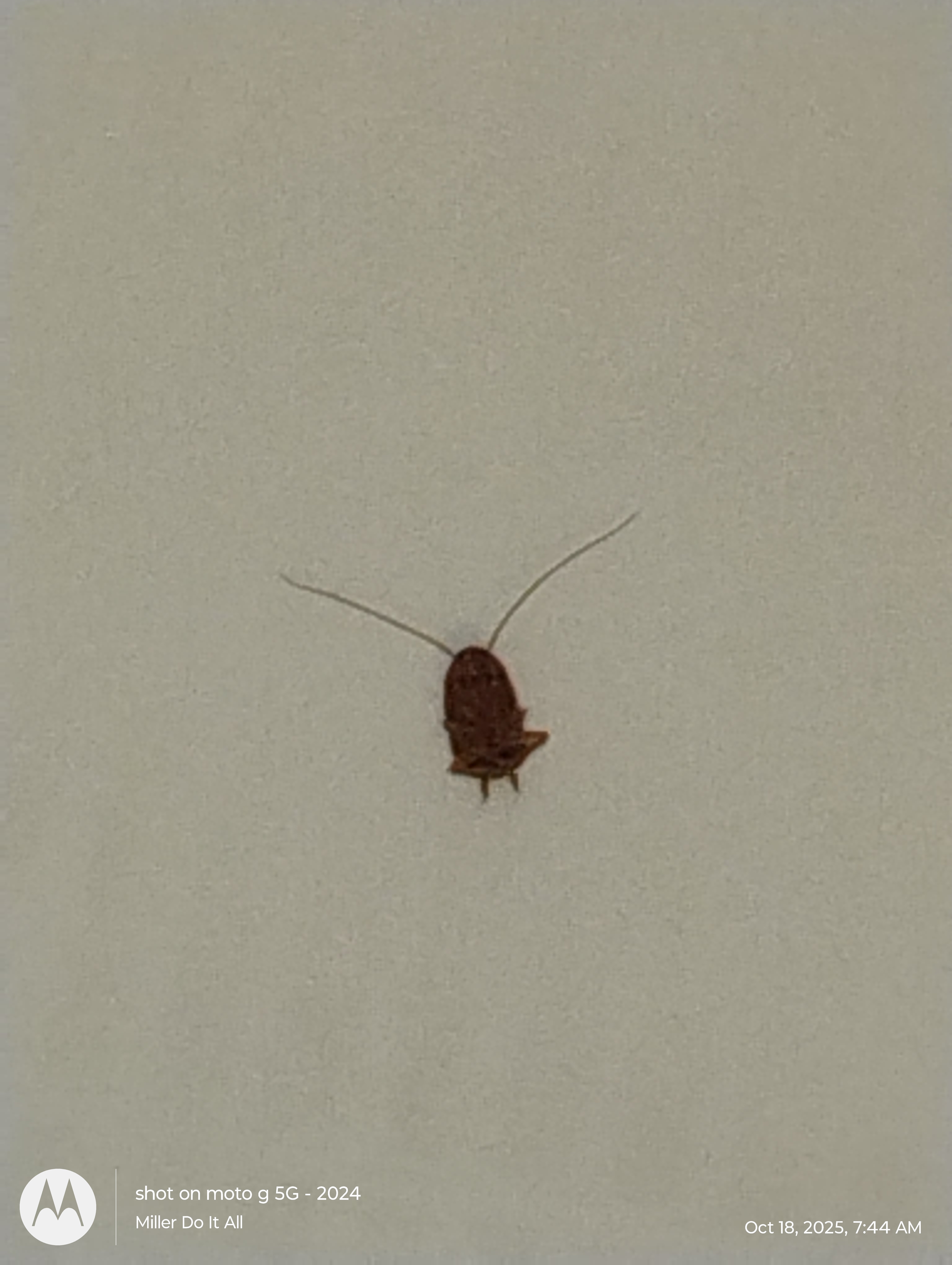 Dunes Village Resort-官方