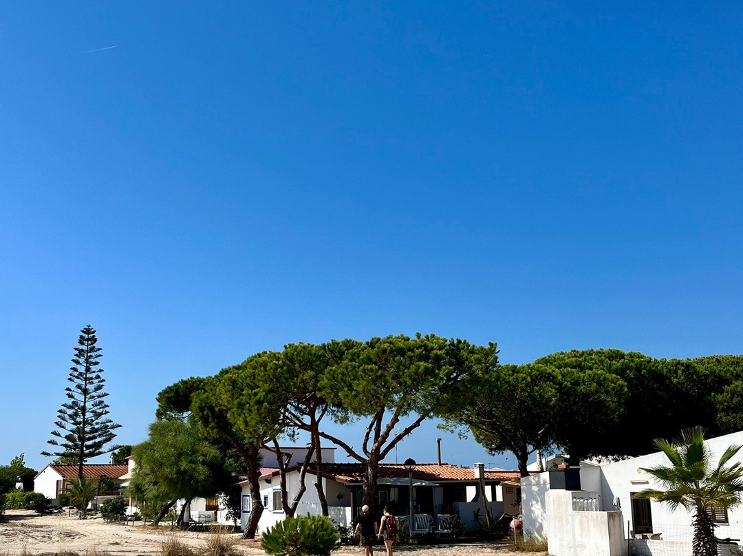 Armona Island-奥良必去景点