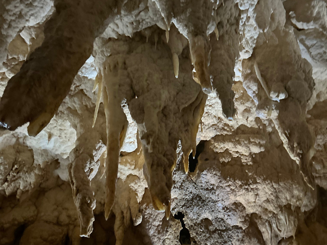 Ruakuri Cave-怀托摩洞穴必去景点