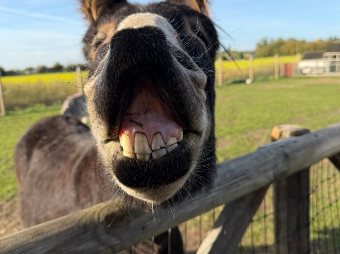 Milestone Ranch Country Park-唐克斯特必去景点