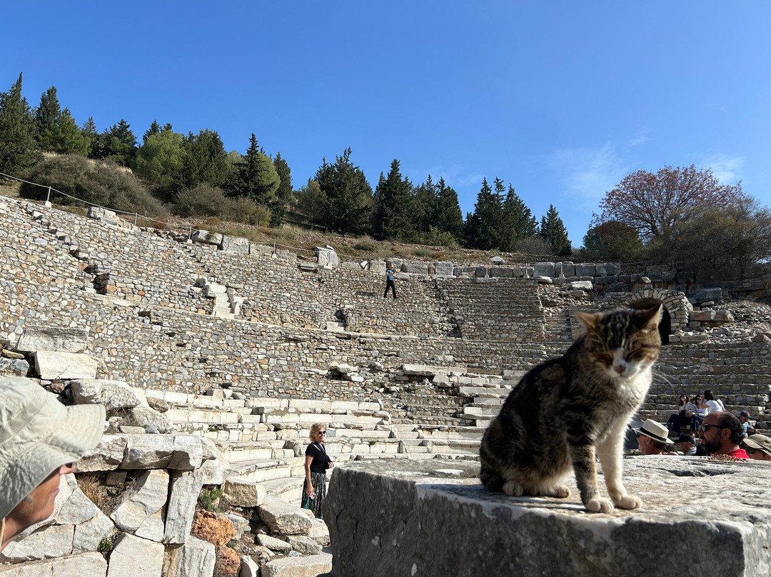 Road Runner Travel-伊斯坦布尔必去景点
