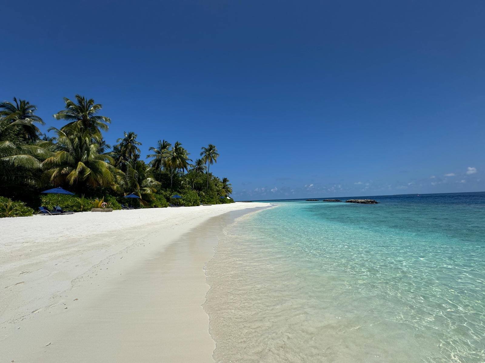 Baglioni Resort Maldives-泳池