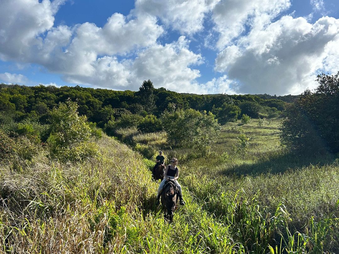 Ironwood Ranch-Napili-Honokowai必去景点