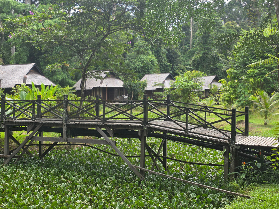 Borneo Eco Tours-亚庇必去景点