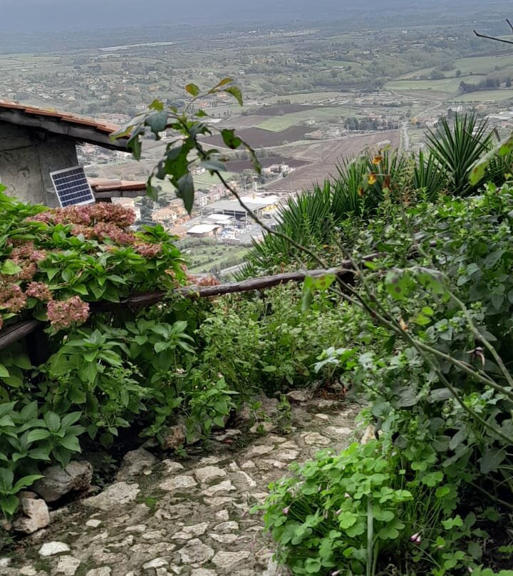 B&B dell' Artista主图