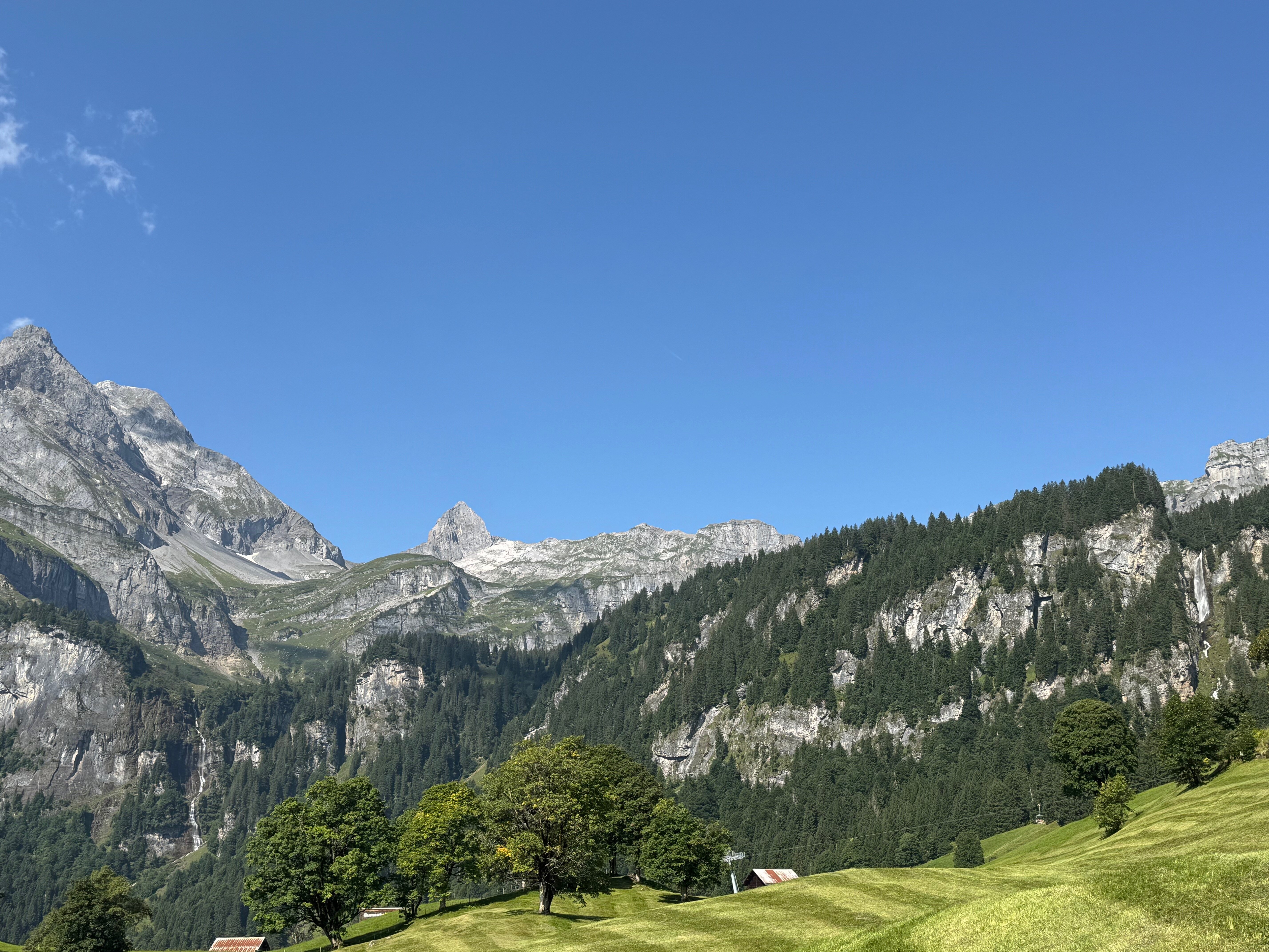 Alexander's Todiblick-官方